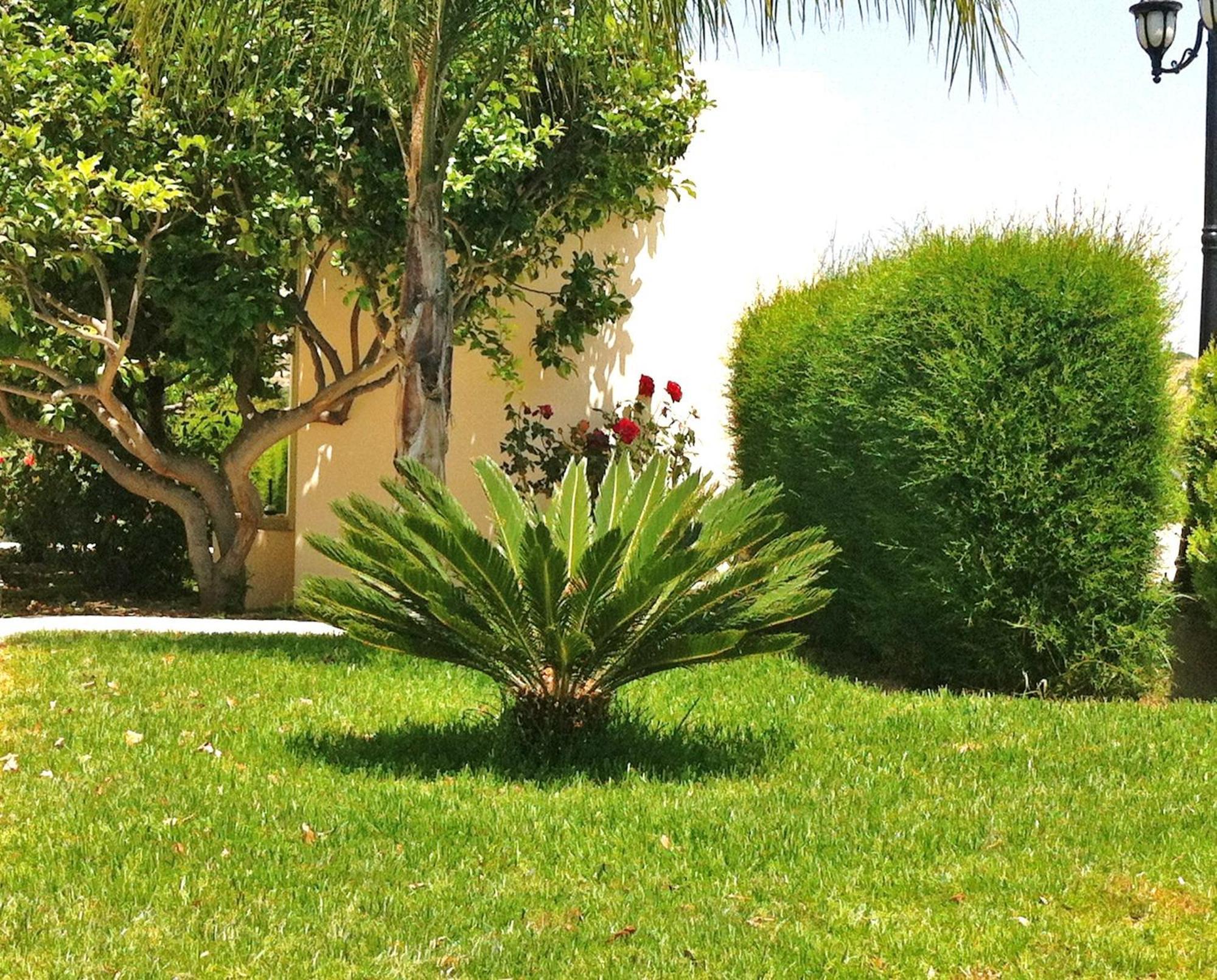 Himonas Apartments Pissouri Dış mekan fotoğraf