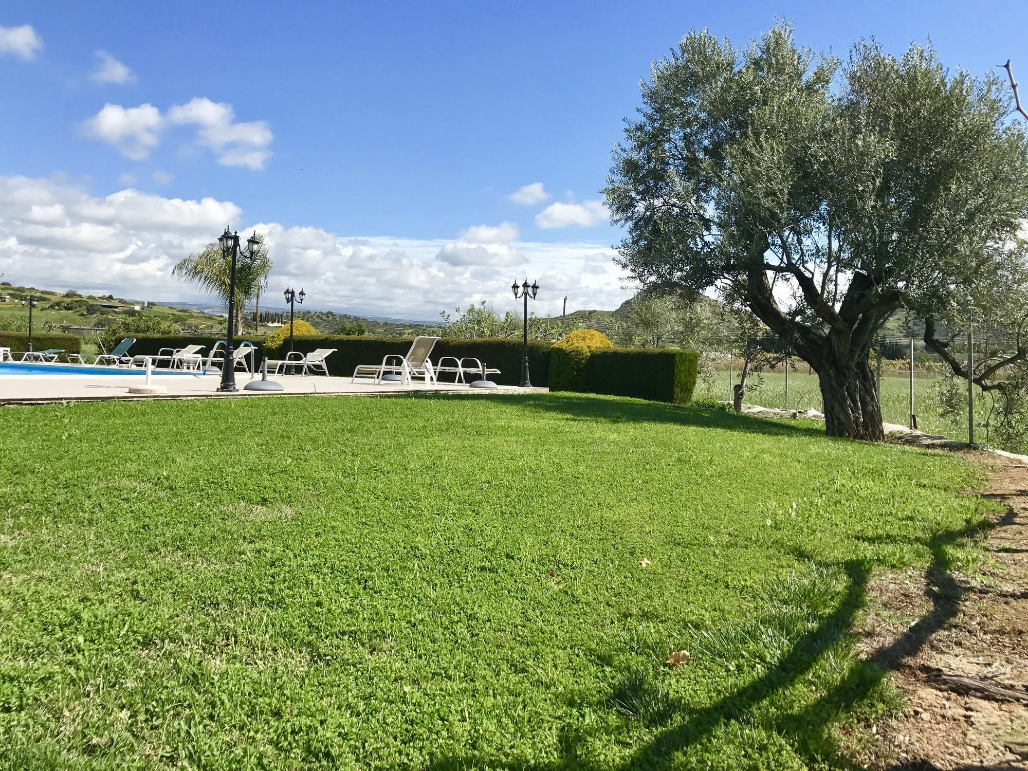 Himonas Apartments Pissouri Dış mekan fotoğraf