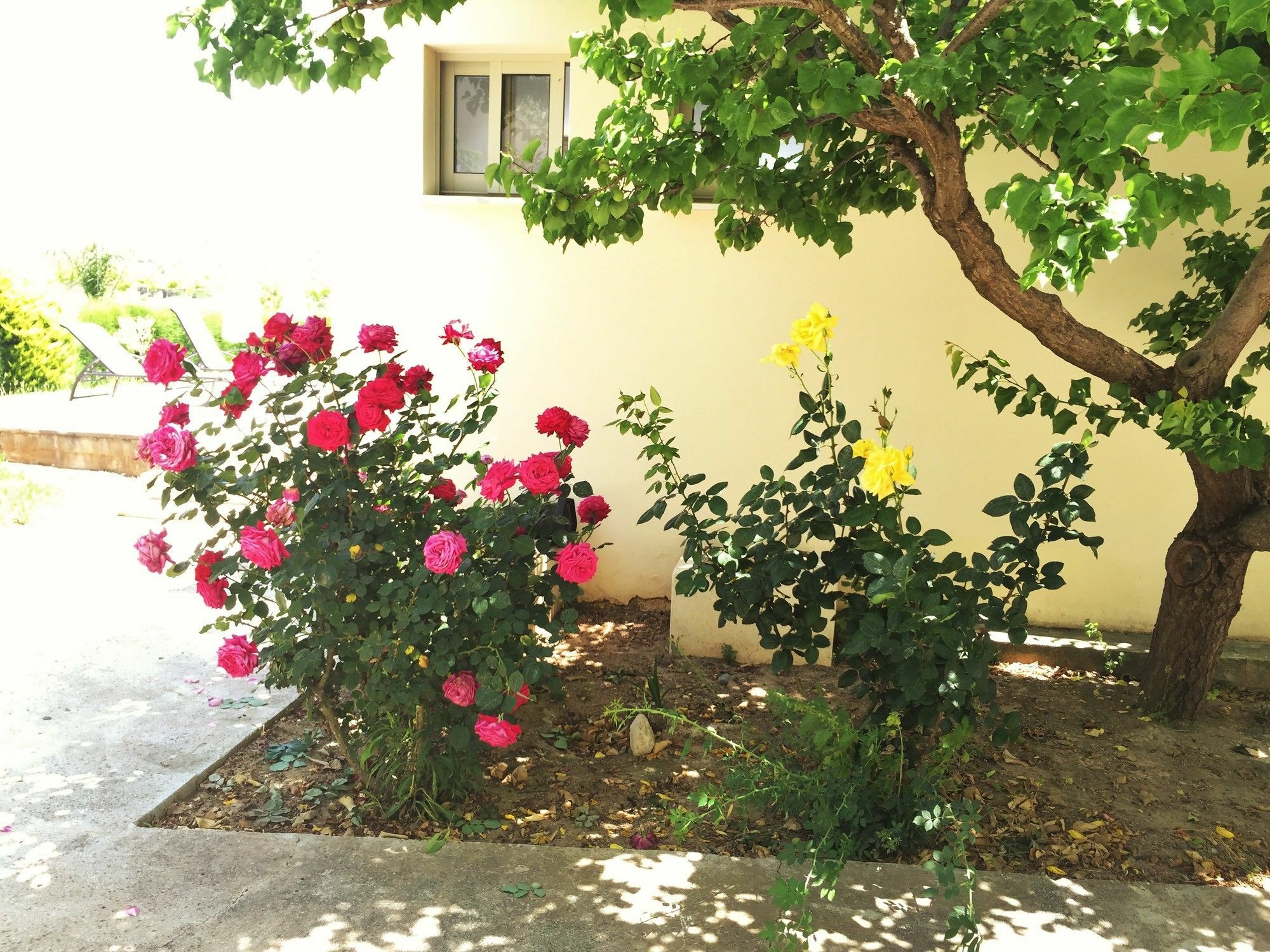 Himonas Apartments Pissouri Dış mekan fotoğraf